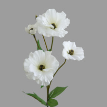 ������ĵ�������滨�ٻ�ëݢ�Ҿ��b�Ʒ���ҿ͏d�������ղ廨��ˇ