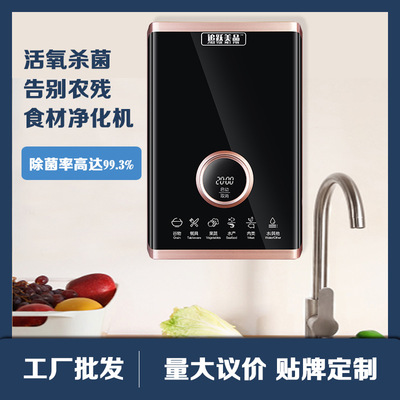 果蔬消毒机壁挂活氧净化去农残激素厂家直供批发洗菜机跨境热销|ms