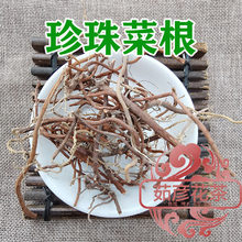 野山珍珠菜根红丝毛根、过路红根、阉鸡尾根、红根草、红梗草真货