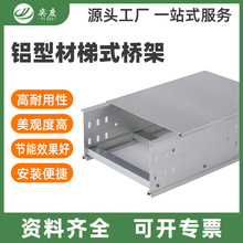 厂家供应铝材梯式电缆桥架 热浸锌线槽 200*100金属电缆桥架