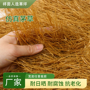 ����é�����҃���픵����������ζȼٴ徰�^��������ë���b�Ƥ