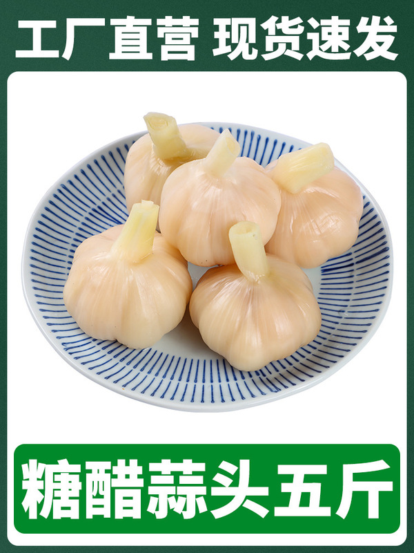 山東翡翠ラバガルーン、業務用グリーンガーリック、酢漬けニンニク、砂糖漬け特製漬物、お酒のおつまみ|undefined