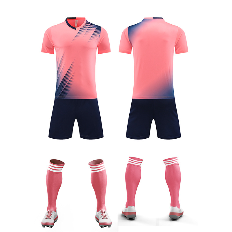 6009 - Rosa