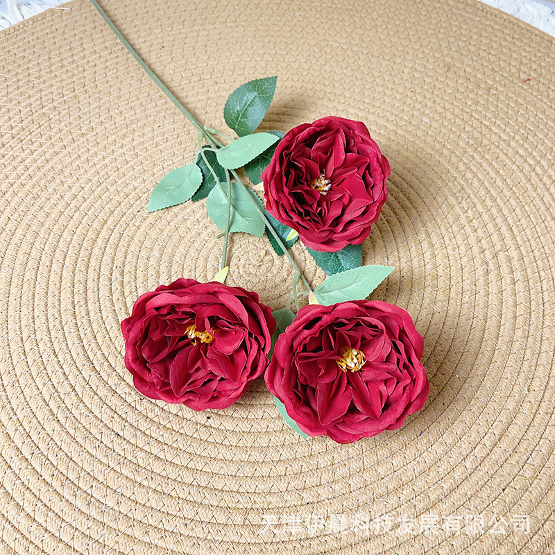 세 개의 머리 오스틴 로즈-레드