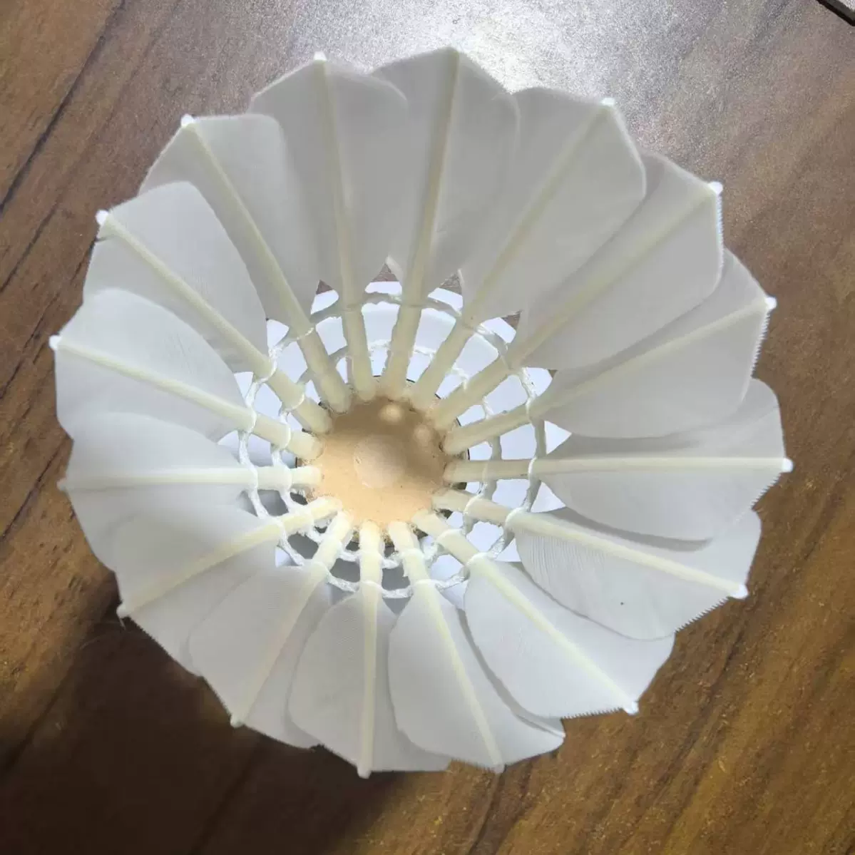 一级鹅毛拉直羽毛球12只装羽毛球耐打王鹅毛拉直比赛专业羽球