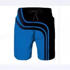 2025 Summer Bathroom Shorts, Racing Beach Shorts, Motorcycle Swimwear, Men's Gym Shorts