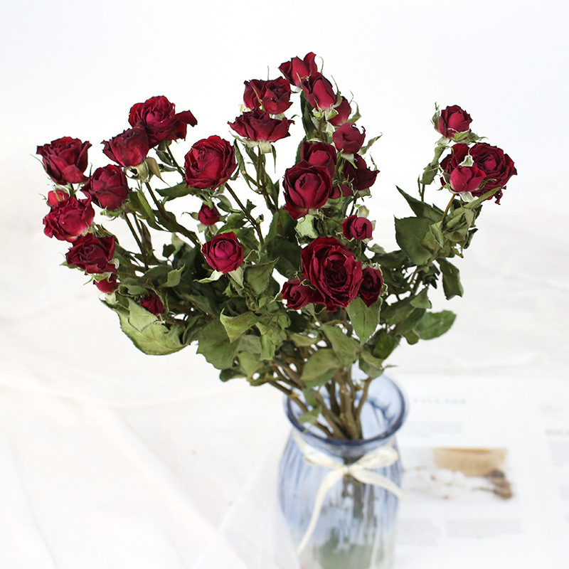 네온 버블 + 무료 30개 이상의 장미