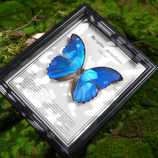 ?���{�W�������˱�����Ʒչ�����x���F��Ҋ�{ɫ���նY��Ů����