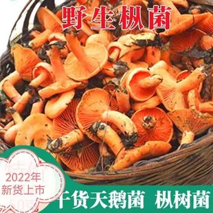 野生松树菌寒菌松菇松乳菇枞菌野生菌干货天鹅菌红菇普通香菇全年-阿里巴巴