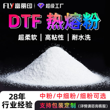 ���Sֱ�N��ī�C����ӡ�C���۷۸ߏ�������tpu�����z��DTF powder