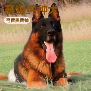 ���Ƶ�����Ȯ���ͷ���Ȯ�Ѿ�Ȯ����Ȯ����Ȯ������w����܊��Ȯ