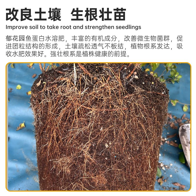 彩乐植鱼蛋白水溶肥氨基酸瓜果蔬菜花卉通用叶面农用营养液生根剂|undefined