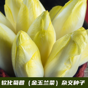 �W��ѿ����ķN�� ���m�� ܛ�����ķN���� �̨ͥԺ�Nֲ �S���ز�