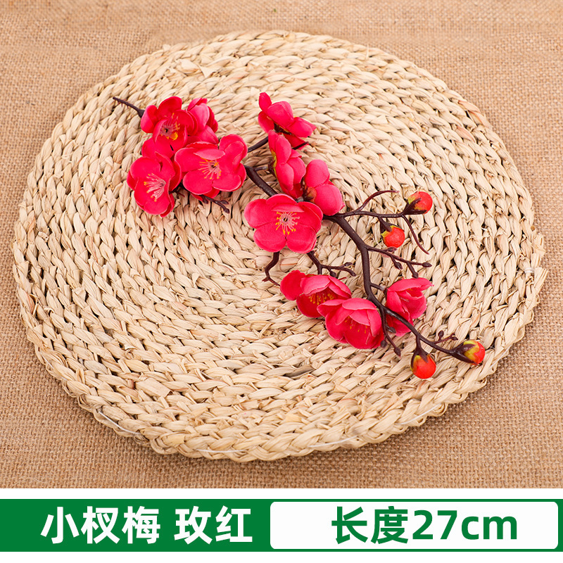 로즈 레드 리틀 플럼