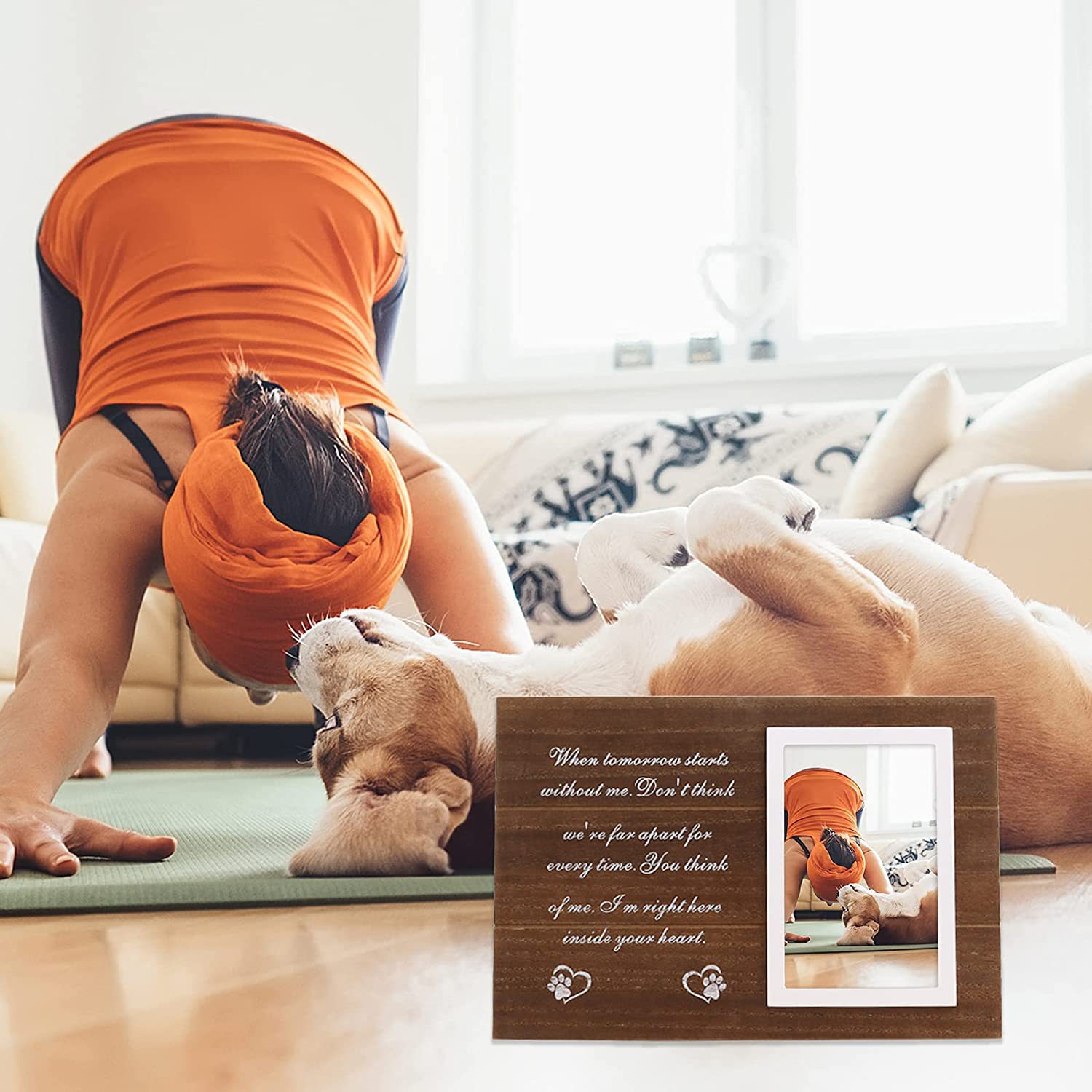 Amazon madera PET foto marco decoración madera gato y perro conmemorativo marrón madera marco adornos transfronterizos