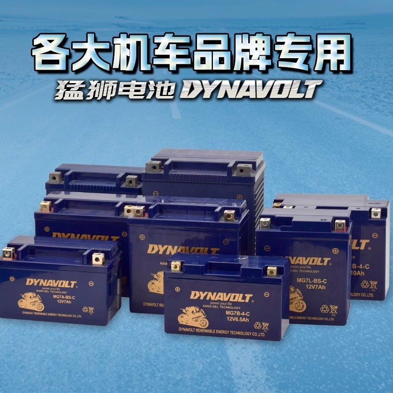 Batería de motocicleta de león para brisa de primavera Benelli Harley BMW 125 pedal hawk Kawasaki 12V batería