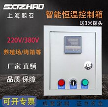 单独二路温度控制箱220V/380V 双