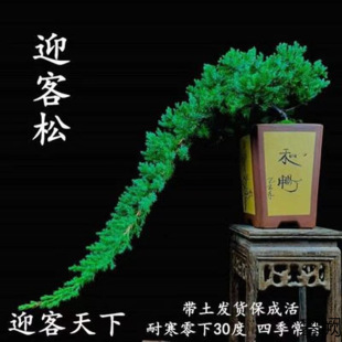 ӭ���ɵذ�����䁵ذ������辰�ļ�����ͥԺ�ؘ����ͺ��G���ɘ���