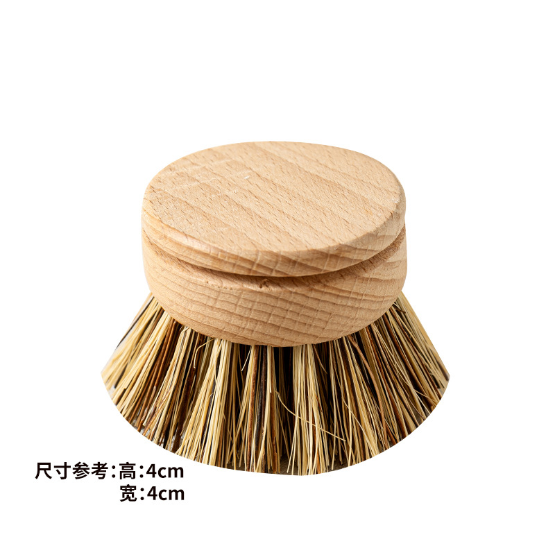 너도밤나무 야자 브러시 헤드