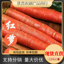 陕西大荔沙地水果胡萝卜10斤包邮生吃新鲜红心脆甜沙窝红萝卜蔬菜