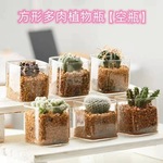 多肉花盆正方形简约四方水培植物玻璃瓶室内多肉绿植花盆生态瓶