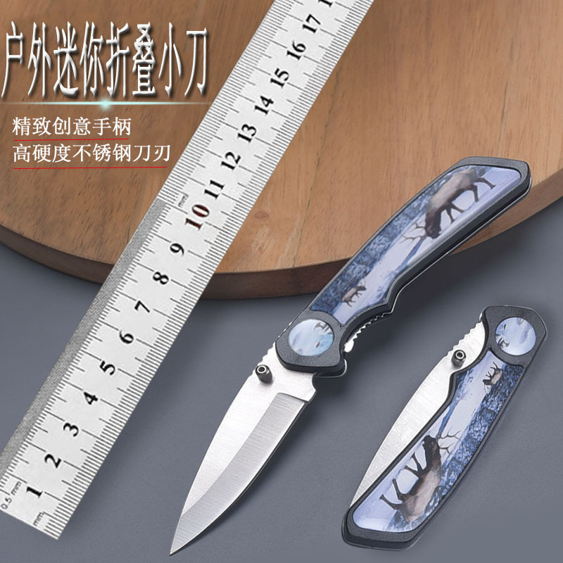 Outdoor Knife Mini Stainless Steel Folding Knife Fruit Knife Portable Camping Plastic Handle Sharp Knife