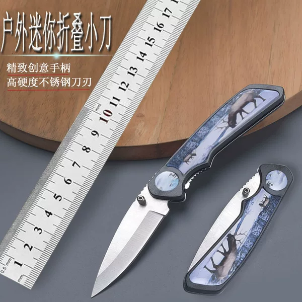 Outdoor Knife Mini Stainless Steel Folding Knife Fruit Knife Portable Camping Plastic Handle Sharp Knife