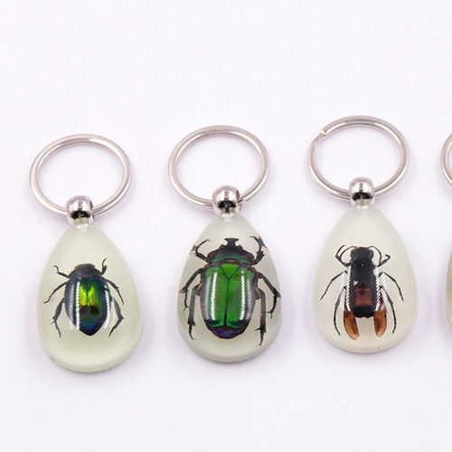 Large Amber Night-Luminous Insect Keychain Decor with Real Insect Specimens, Hot Selling in Scenic Areas, Factory Wholesale