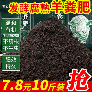 ��S�l���ЙC�����l����b���ܠI�B���r���B�����ϷN��ͨ���߲�