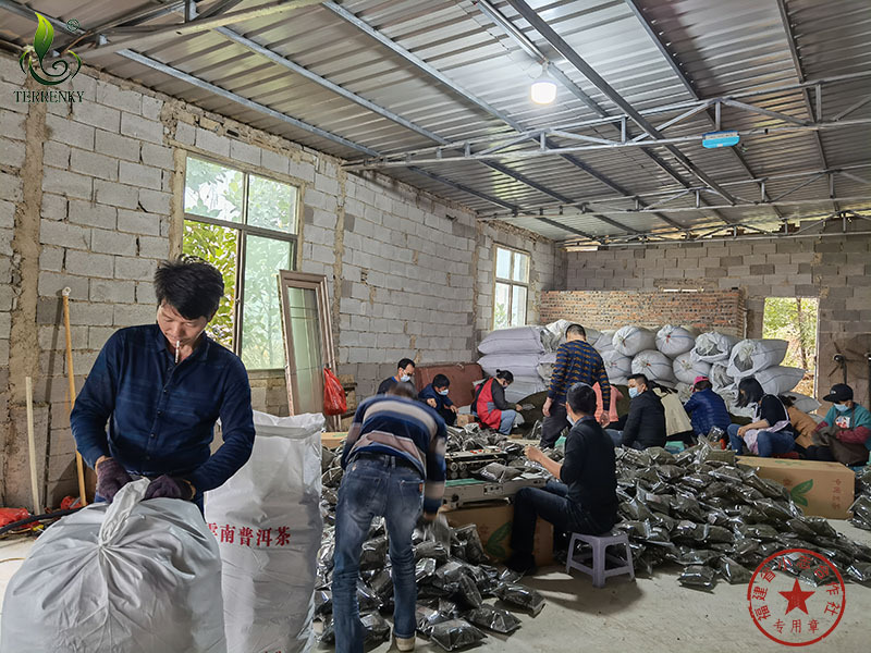 福建省安溪小志茶叶专业合作社