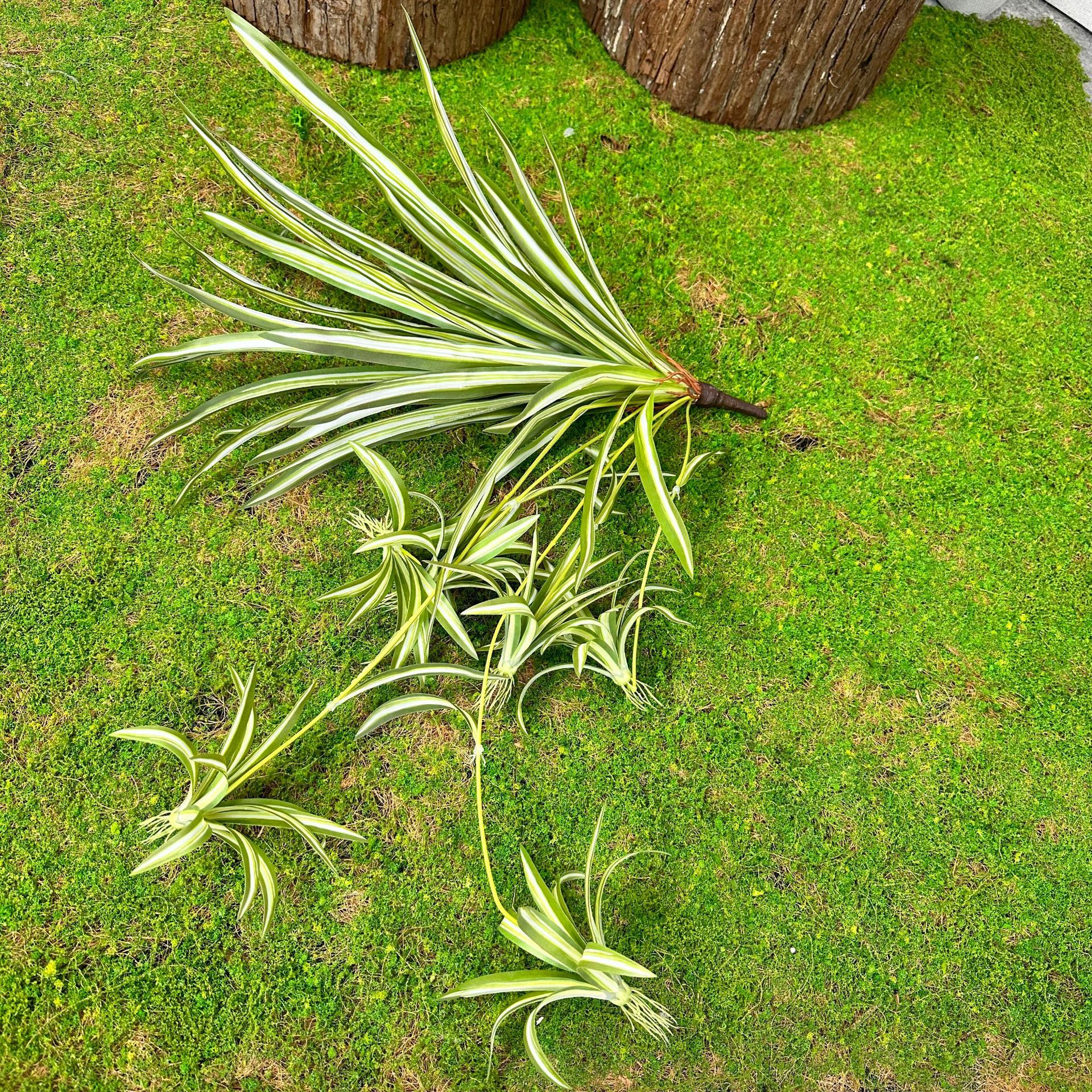 Simulación de plantas verdes Simulación de Phnom Penh Sensación de plantas de hierba araña Pared decorativa Simulación de plantas Decoración de césped falso