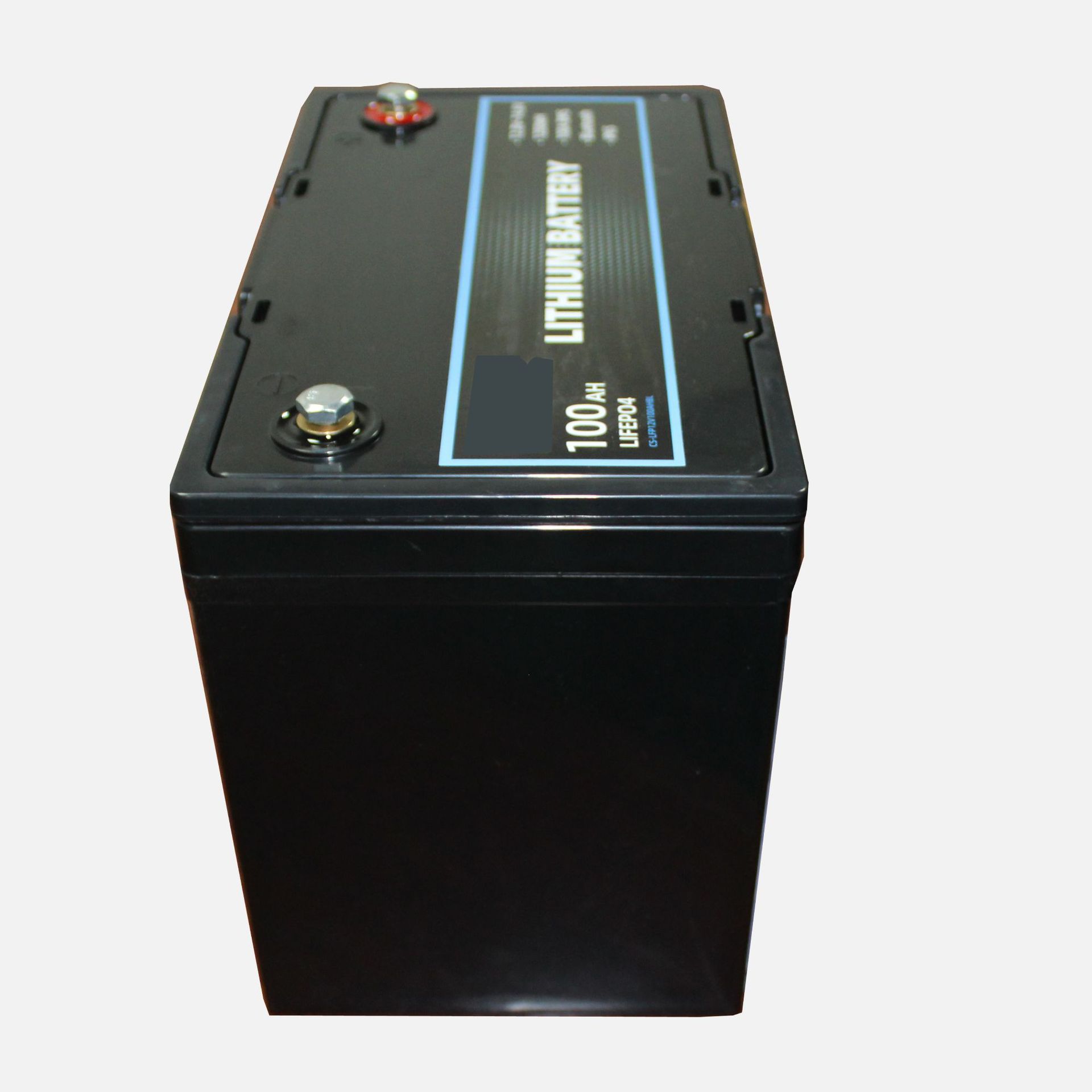 12V-100-2.jpg