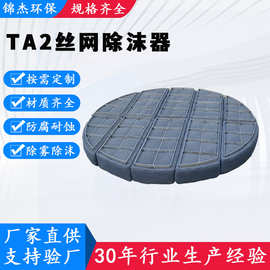 锆材TA2丝网除沫器捕沫器脱硫塔喷淋塔除雾油烟水雾分离气液过滤