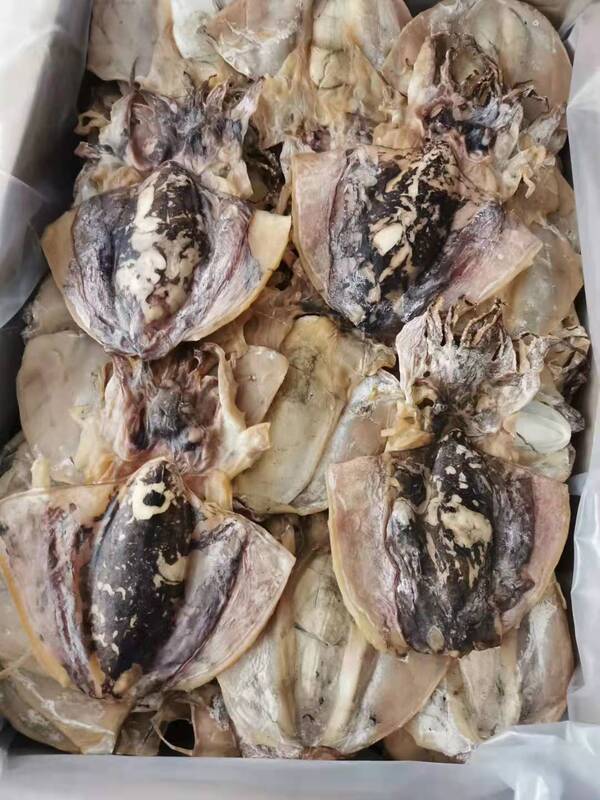 新品東海淡い乾燥イカ干し海産物目魚干しイカ500グラム袋入り|undefined