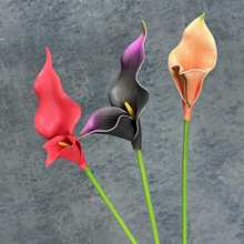 EVA���滨�p���R��ɏ�ҾӾƵ��b�Y�������ÿ羳�ٻ��[�����l