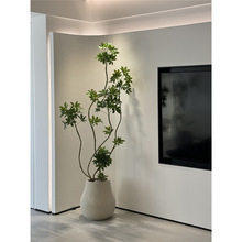 羰Ʒ_ľGֲ҃ȿ͏dؼֲb滨