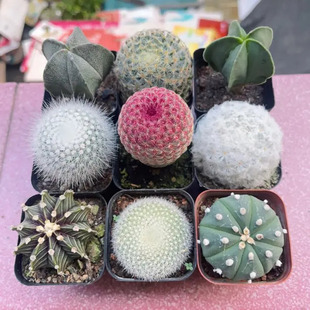 ����������ϼ��Ƕ��M���ײ��[�P�����ֲ�����������Է�ݗ���_��