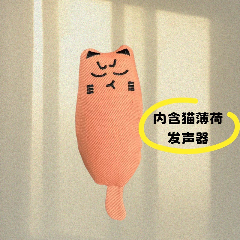 오렌지 고양이