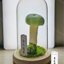 �����Ģ������Gֲ���滨��ģ��΢���^ Ģ��ģ��DIY�b����