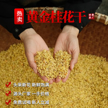 黄金桂花干花批发代加工散装商用无硫可食用特级优质金桂花瓣泡水