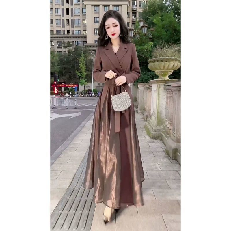 2025秋冬新款复古高端过膝长裙女大码宽松显瘦时尚休闲气质连衣裙|undefined