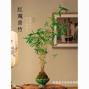 �t�^����̦�\��������\��ˮ�������҃��辰�ļ�����