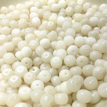 天然印尼白玉菩提根 干磨无蜡菩提根桶珠 散珠菩提子佛珠手串批发