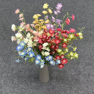 ����ʯ�񻨷��滨��c��Y���쾰ܛ�b����·���b��ü����Q����