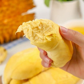 传统糕点;西式糕点;饼干