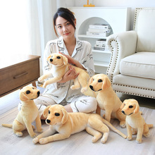 �羳�����ëȮ�ɐ۹�������ë�q��߃�ͯ��ż�������౧��������