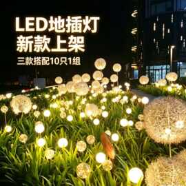 LED蒲公英灯户外插地草坪灯庭院装饰花园氛围灯12v圆球灯1组10只