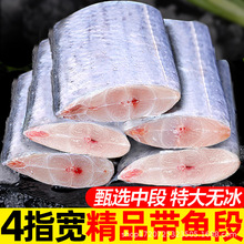 冷冻带鱼段成品批发无冰带鱼段冻品整箱东海小眼带鱼中段新货