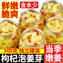 �Ͳ�����ݽ�ѿ���r�۽�ѿ�ݲ�����Ƭ�н���������ƿ�b�̲����