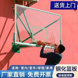 成人挂式篮球家用儿童壁挂户外训练室内可升降标准挂墙式篮球框